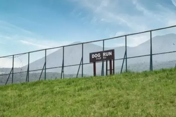 犬が発情しているときの『絶対NG行為』4つ　発情期を迎えたワンコがみせる行動とは？