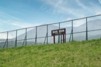 犬が発情しているときの『絶対NG行為』4つ　発情期を迎えたワンコがみせる行動とは？