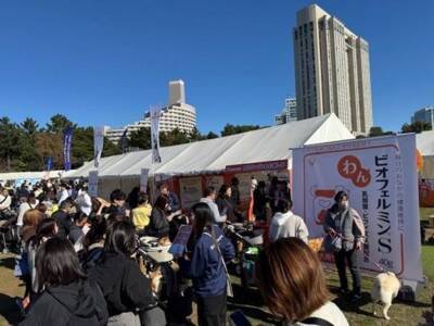 11月22日はペットたちに感謝する日。秋晴れの会場にはいぬ・イヌ・犬！熱気溢れる「ジャパンわんこフェスタ2025秋inお台場」に行ってきました！