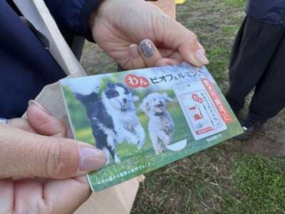 11月22日はペットたちに感謝する日。秋晴れの会場にはいぬ・イヌ・犬！熱気溢れる「ジャパンわんこフェスタ2025秋inお台場」に行ってきました！