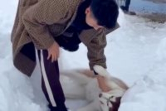 ドッグランから帰りたくない大型犬→駄々をこね始め…抵抗する姿が『人間の子ども』のようだと118万再生「イヤイヤ期で草」「全身で阻止ｗ」