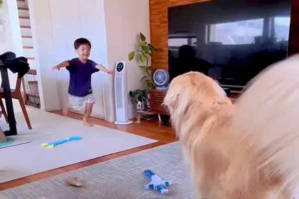 幼稚園から帰った小さな男の子→すぐさま『大型犬』に抱き着いて…ずっと見ていたい『ただいま』が19万再生「微笑ましい」「素晴らしい家族」