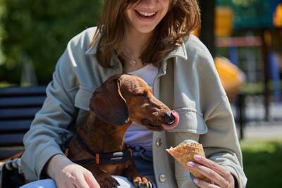 犬が『しつこく要求してくる』ときのNG行為5つ　問題行動を助長させる飼い主のタブー行動まで