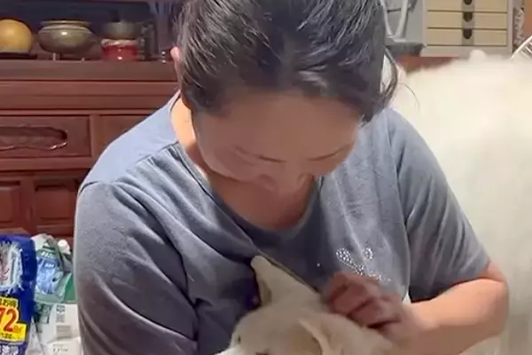 夜、17歳の老犬が不安そうに鳴くので『お母さんが抱っこした』結果→表情が変わり…愛おしくてたまらない『寝かしつけ』に反響「幸せ溢れてる」