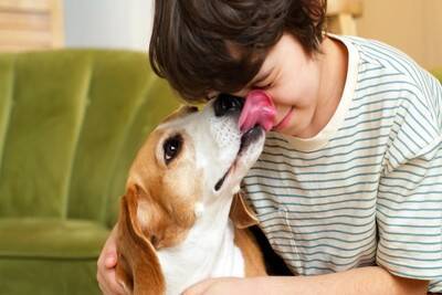 犬が飼い主のことを『舐める』理由5選　ペロペロと舐め続ける心理や注意点まで解説
