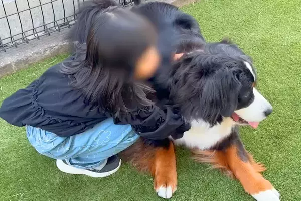超大型犬がいる家に『姪と甥』が遊びに来た結果→たくさん遊んでくれて…あまりにも尊い光景に反響「自然と笑顔になる」「疲れが吹き飛んだ」