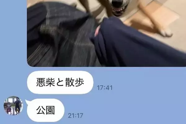 家族からのLINEで、いつも『犬』が送られてきて…シュールで愛おしい『平和すぎるやり取り』が12万再生「お母さんの一言ｗ」「やばいｗｗ」
