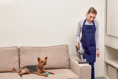 『抜け毛が多い』犬種５選　効果的なお掃除テクニックやおすすめの対策まで
