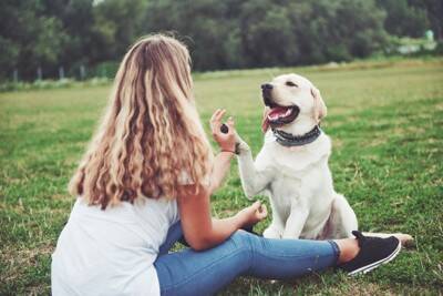 犬に『幸せを感じてもらう』方法とは？愛犬をハッピーな気持ちにするために飼い主がすべきことまで