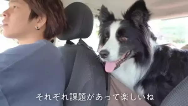 犬が『ギャン泣きする0歳の赤ちゃん』を見たら…最高に癒される『平和なやり取り』が8万再生「天使かな？」「なんて幸せな空間」と大絶賛