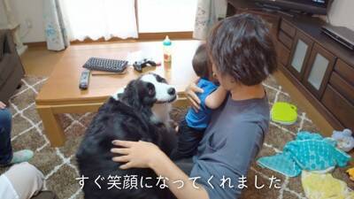 犬が『ギャン泣きする0歳の赤ちゃん』を見たら…最高に癒される『平和なやり取り』が8万再生「天使かな？」「なんて幸せな空間」と大絶賛