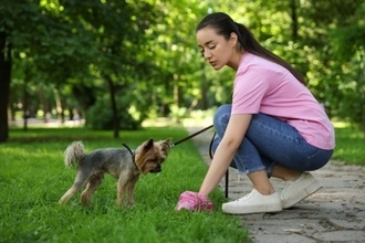 犬の『排泄物』からわかる健康状態とは？毎日のチェックが病気の早期発見に繋がることも