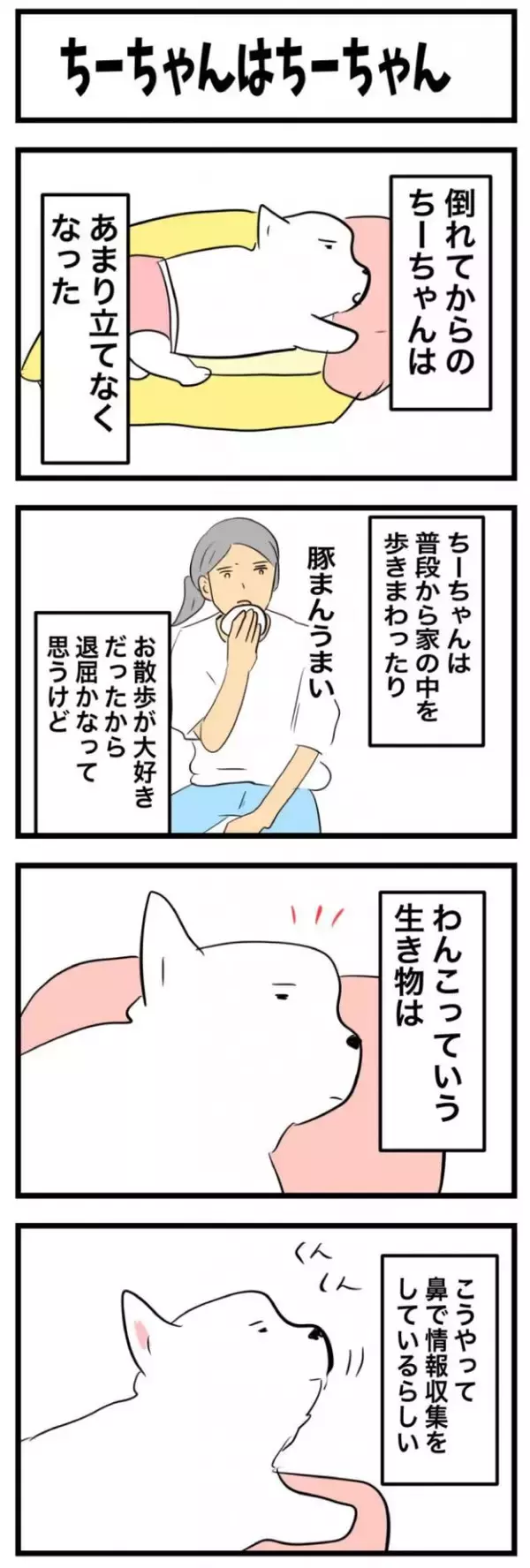 ちーちゃんですけどもっ【第365話】「ちーちゃんはちーちゃん」