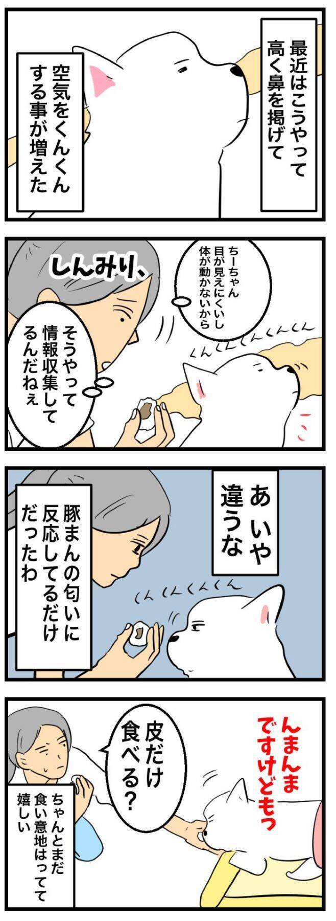ちーちゃんですけどもっ【第365話】「ちーちゃんはちーちゃん」