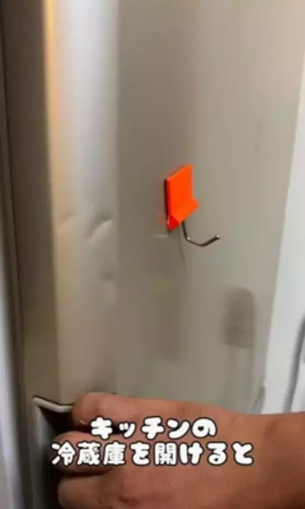 料理中に忍び寄る3匹の犬→侵入防止用に『柵を設置』した結果…執念感じる『衝撃の行動』が12万再生「逃げれなくて草」「諦めてｗｗ」と爆笑