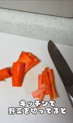 料理中に忍び寄る3匹の犬→侵入防止用に『柵を設置』した結果…執念感じる『衝撃の行動』が12万再生「逃げれなくて草」「諦めてｗｗ」と爆笑