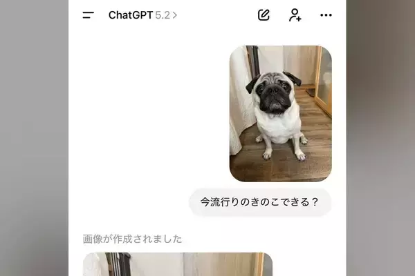 ChatGPTに『今流行りのきのこできる？』と犬の写真を送った結果→完全に想定外だった結末が250万表示「うちも酷いことにｗ」共感の声も