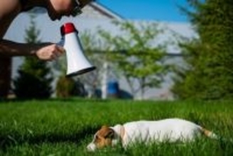 犬に『精神的ダメージを与える』タブー行為5選　深刻なトラウマを植え付けてしまうことも…
