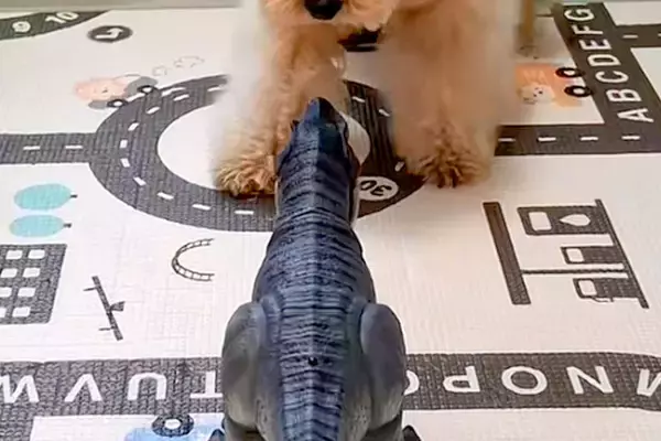 間違えて『子供部屋』に入った犬→恐竜のおもちゃが作動して…ビビりすぎて見せた『リアクション』が26万再生「ドタバタで草」「焦りがｗｗ」