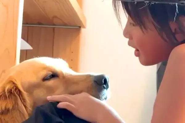 小学校から帰ったら『大型犬』のもとに行く男の子→すぐにお話を始めて…泣けるほど『微笑ましい光景』が240万再生「可愛いが大爆発してる」