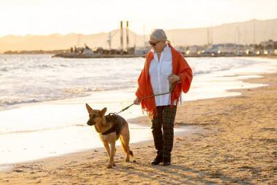 「犬の散歩中の怪我、危険な因子とは何か」を調査した海外の研究結果　65歳以上の女性は"怪我のリスク"が高い