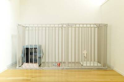 犬が『トイレの上にずっといる』心理4つ　排泄時以外もトイレシーツから動かないワケとは？