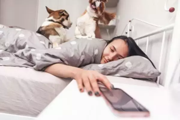 犬が早朝に『飼い主を起こす』心理5選　行動がエスカレートしてしまうNG対応とは？