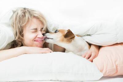 犬が早朝に『飼い主を起こす』心理5選　行動がエスカレートしてしまうNG対応とは？