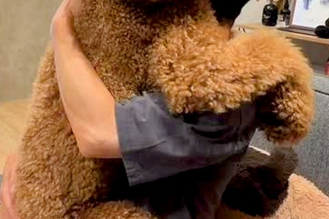 1時間ぶりにお父さんと再会した大型犬→『会いたかった』と抱っこをせがみ…自分のサイズをわかっていない『子どものような光景』が197万再生