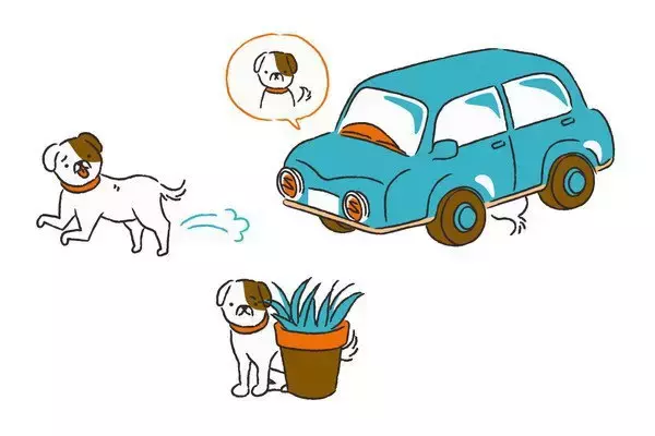 【獣医師が解説】もしも「愛犬がいなくなった」ことに気づいたら？対策と探索方法