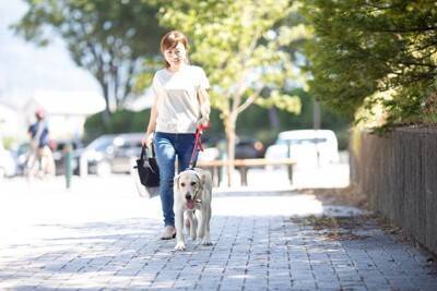 犬を楽しませる『散歩方法』5つ　愛犬を満足させるために選択すべきコースや注意点まで