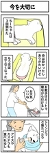 ちーちゃんですけどもっ【第364話】「今を大切に」