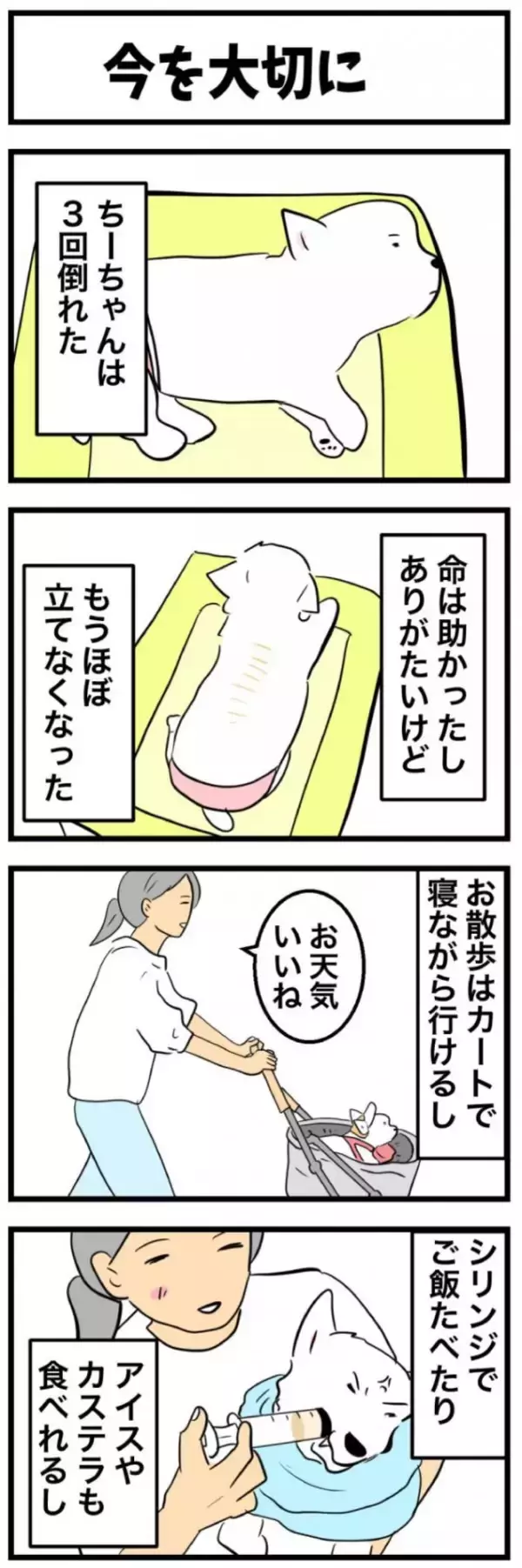 ちーちゃんですけどもっ【第364話】「今を大切に」