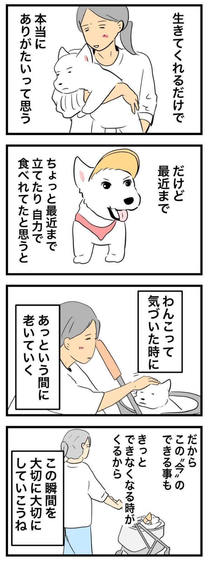 ちーちゃんですけどもっ【第364話】「今を大切に」
