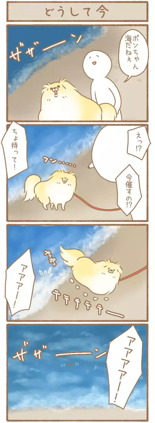 ただの犬好きです。【第342話】「どうして今」