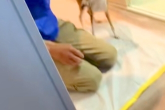 犬がいる家に『工事の作業員』がきた結果→『吠えるかな』と思ったら⋯仕事にならない『想定外の光景』が8万再生「めちゃ可愛い」「たまらん」