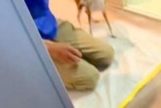 犬がいる家に『工事の作業員』がきた結果→『吠えるかな』と思ったら⋯仕事にならない『想定外の光景』が8万再生「めちゃ可愛い」「たまらん」