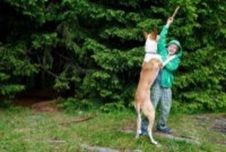 犬が『人に飛びかかる』リスク4つ　他者とのトラブルを引き起こすことも…