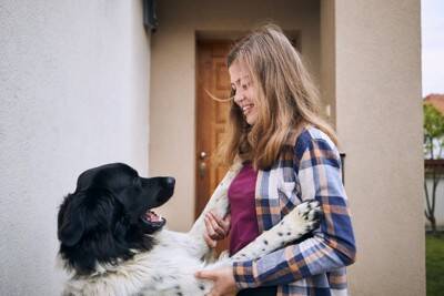 『人懐っこい犬』がよくするサイン7選　社交的なワンコの特徴や人好きにさせる方法まで解説