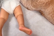 1歳の男の子と大型犬が『やけに静かだな』と思い、様子を見てみたら→こっそりと…『本当の姉弟』のような光景が51万再生「仲間入りしたい」