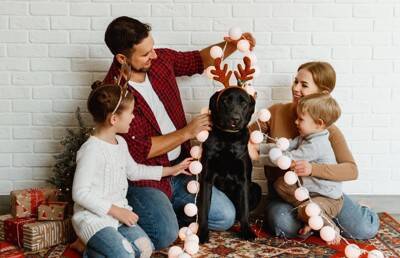 犬とのクリスマスにおける『5つのタブー』 亡くなる危険性も…絶対NG行為と安全に楽しむ方法