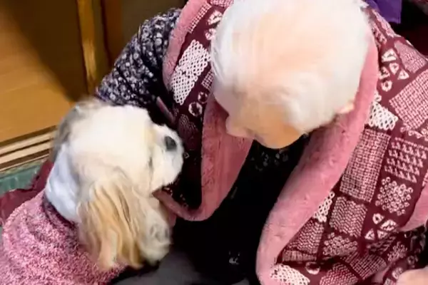 足腰の悪いおばあちゃんが『散歩に行こうと椅子から立った』結果→犬が心配をして…尊すぎる『ボディガード』の光景に称賛「相棒だ」「お利口」