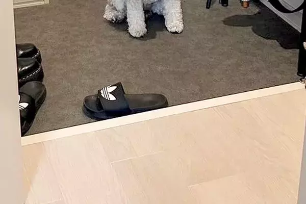 家に遊びに来た友人→犬が『帰るのがイヤ』と駄々をこねて、玄関で…まさかの『わかりやすい表情』に6万いいね「強い意志を感じるｗ」「可愛い」