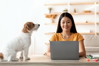 犬があなたにみせる『愛情表現』５選　見逃したくないサインや好かれるためにできることまで