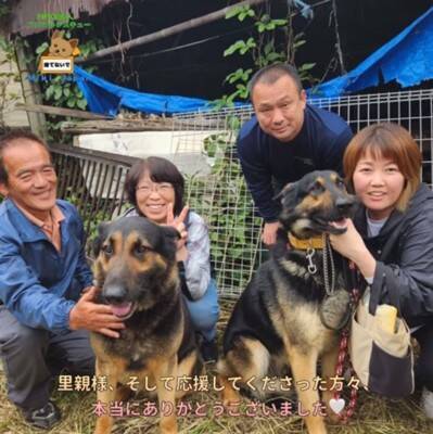 警察から1本の電話…飼い主の安否不明で『置き去りにされた犬』のレスキューが43万再生　感動的な展開に「おじいちゃんも安心してる」の声
