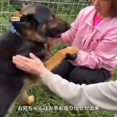 警察から1本の電話…飼い主の安否不明で『置き去りにされた犬』のレスキューが43万再生　感動的な展開に「おじいちゃんも安心してる」の声