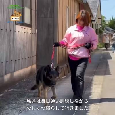 警察から1本の電話…飼い主の安否不明で『置き去りにされた犬』のレスキューが43万再生　感動的な展開に「おじいちゃんも安心してる」の声
