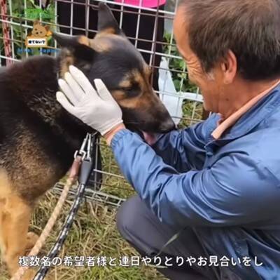 警察から1本の電話…飼い主の安否不明で『置き去りにされた犬』のレスキューが43万再生　感動的な展開に「おじいちゃんも安心してる」の声