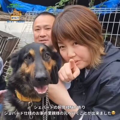 警察から1本の電話…飼い主の安否不明で『置き去りにされた犬』のレスキューが43万再生　感動的な展開に「おじいちゃんも安心してる」の声