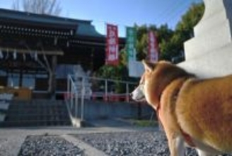 愛犬と『初詣』必ず知っておくべき4つのマナー　トラブルに対する備えや注意点まで解説
